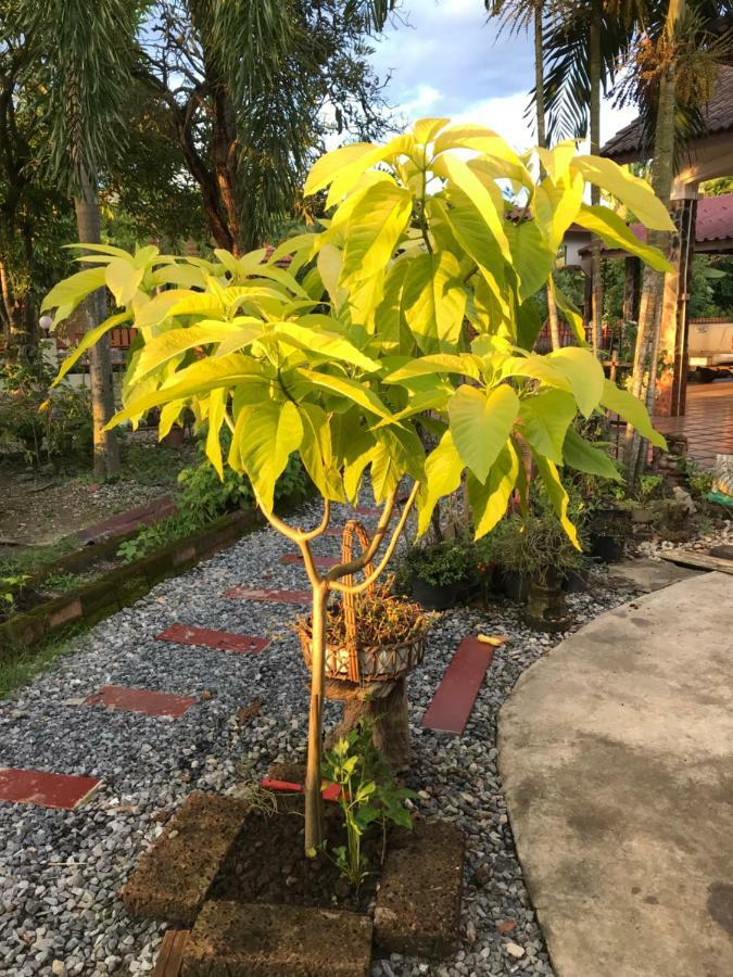 Grandma'S House Apartment Nakhon Nayok Exterior photo
